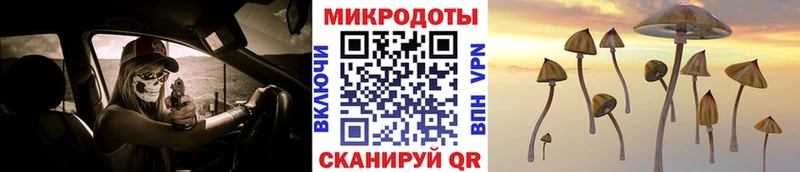 mega ONION  купить закладку  Белоярский  Псилоцибиновые грибы ЛСД 