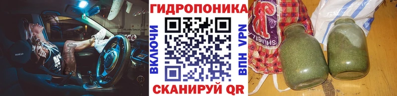 Бошки Шишки ГИДРОПОН Белоярский